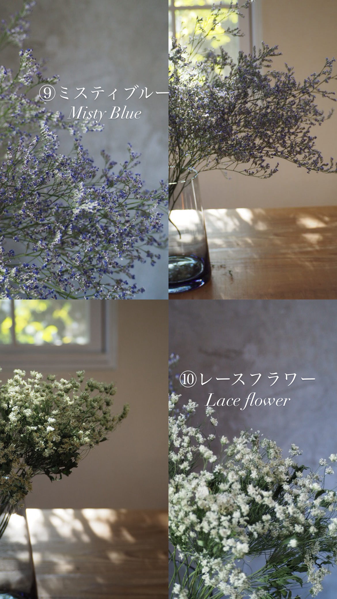 hanging arrangement 『花材セット』 再販