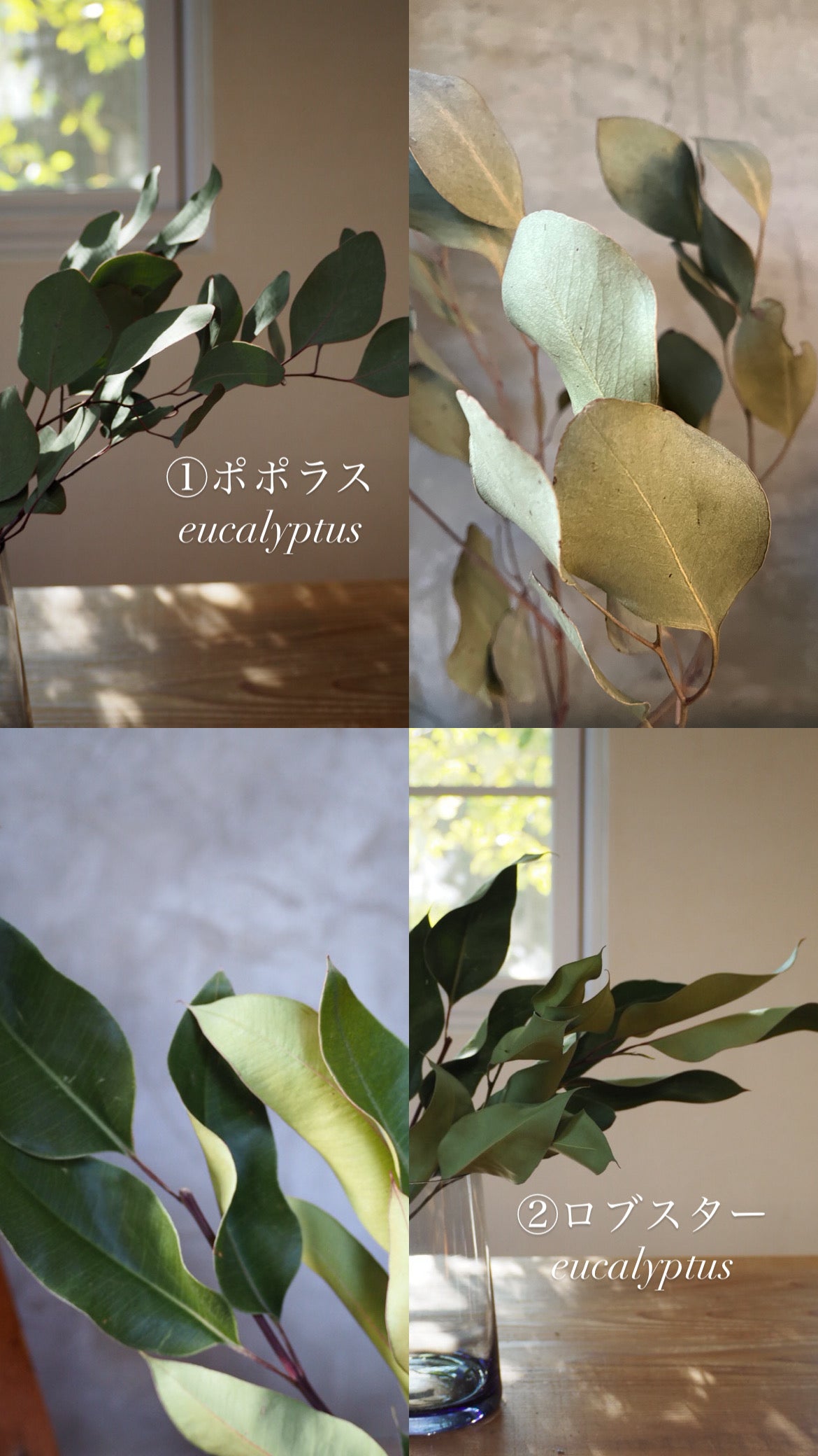 hanging arrangement 『花材セット』 再販