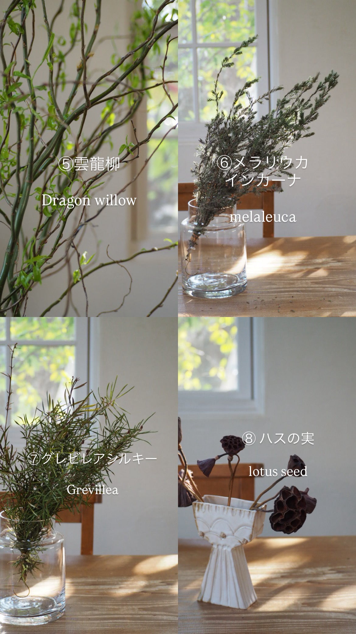 willow wreathe『花材セット』 4/23発送分