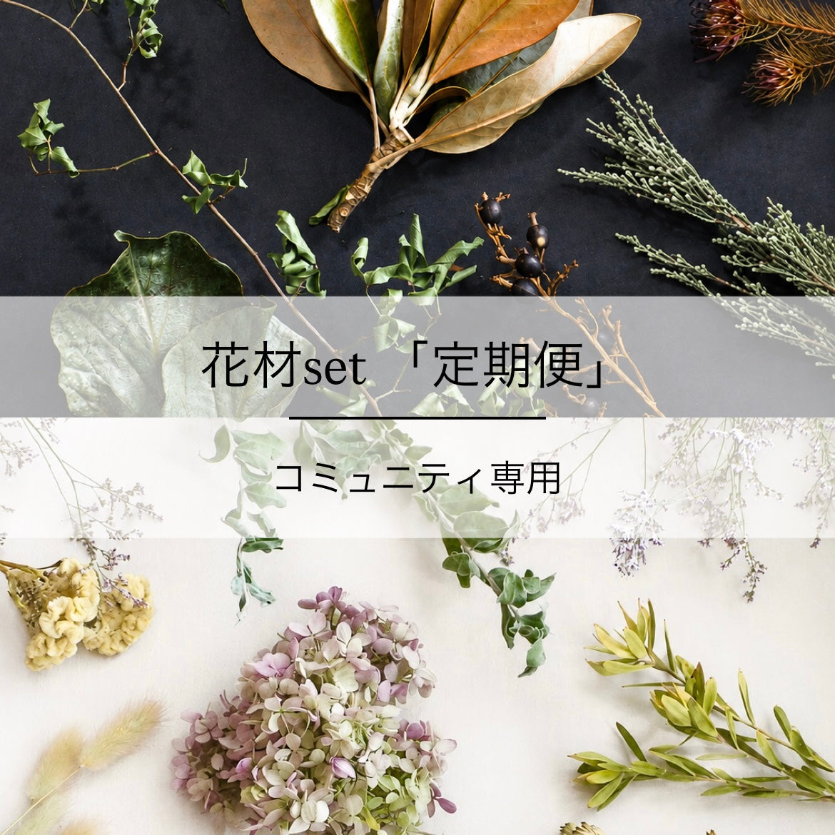 定期便『花材セット』