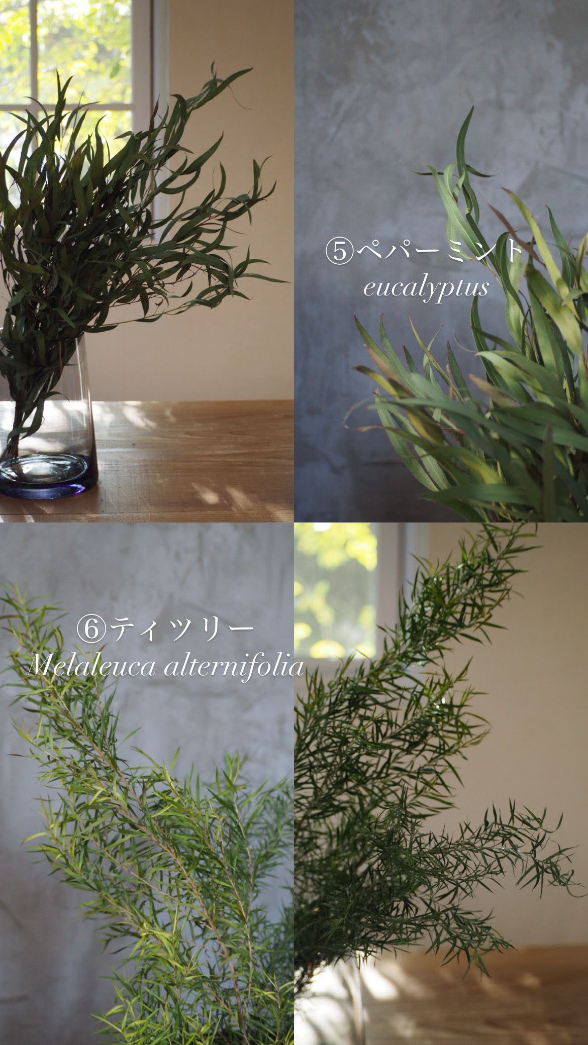 hanging arrangement 『花材セット』 再販