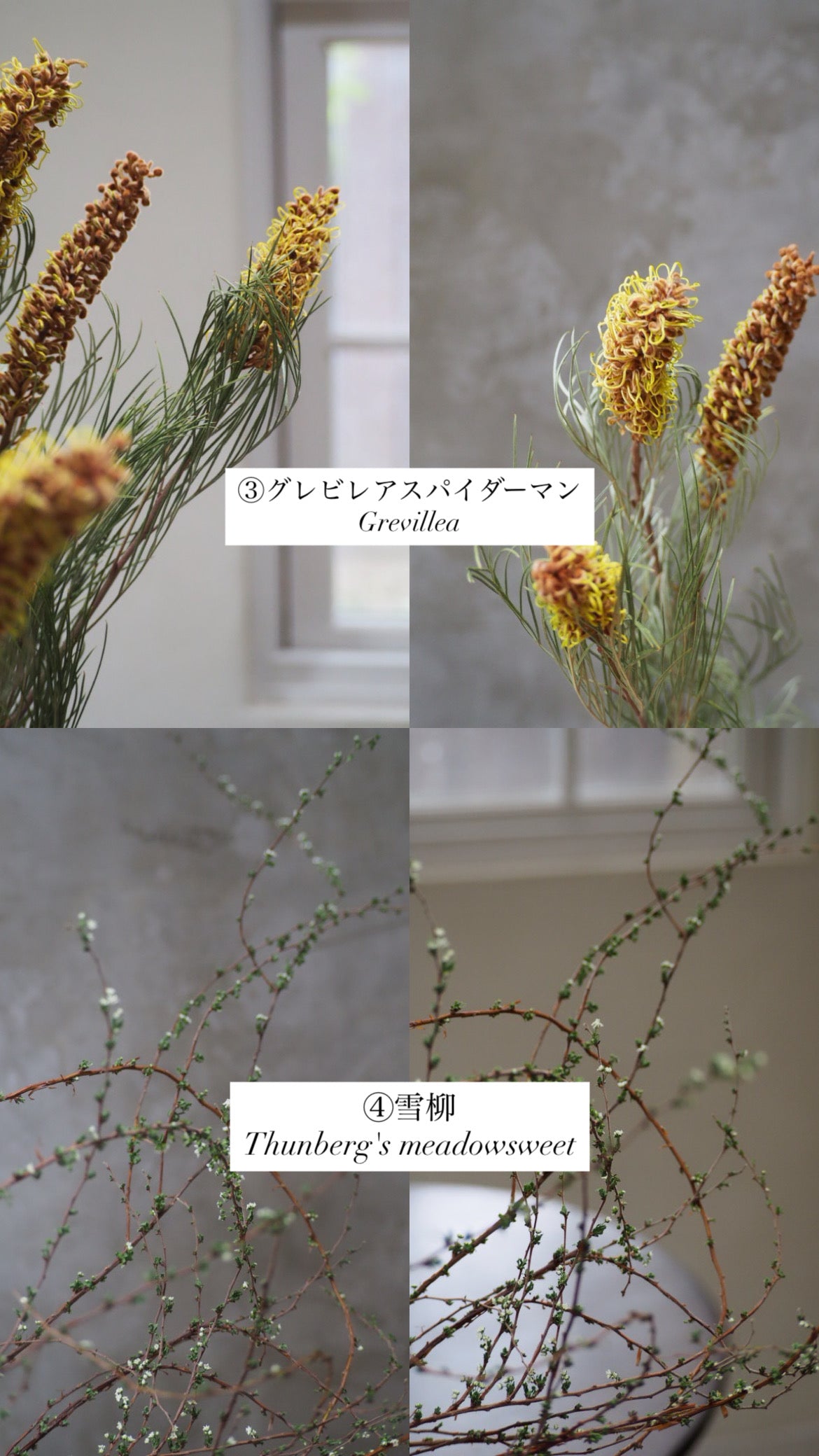 dry flower swag『花材セット』 再販