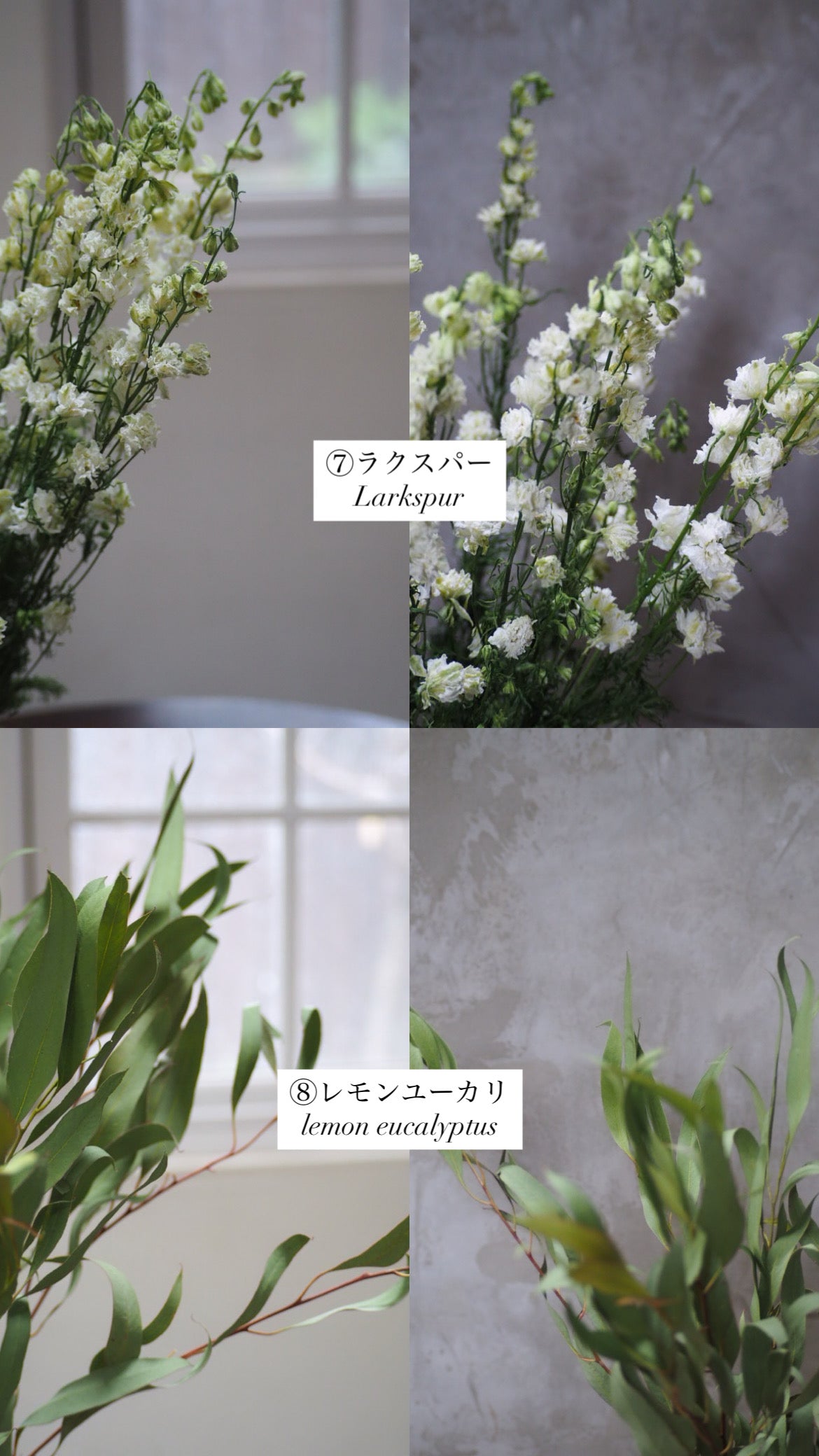 dry flower swag『花材セット』 再販