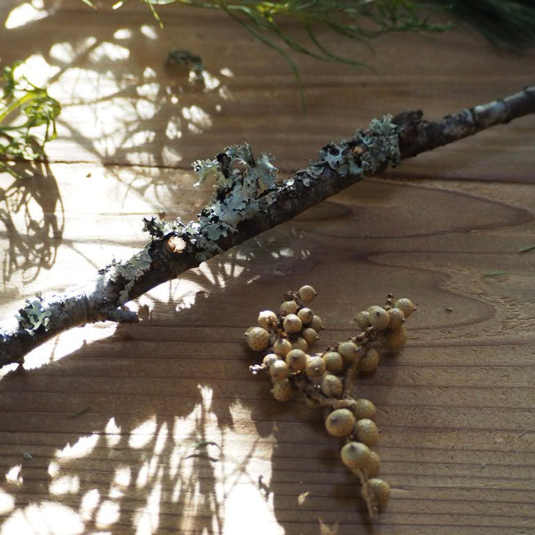 しめ縄 『花材セット』