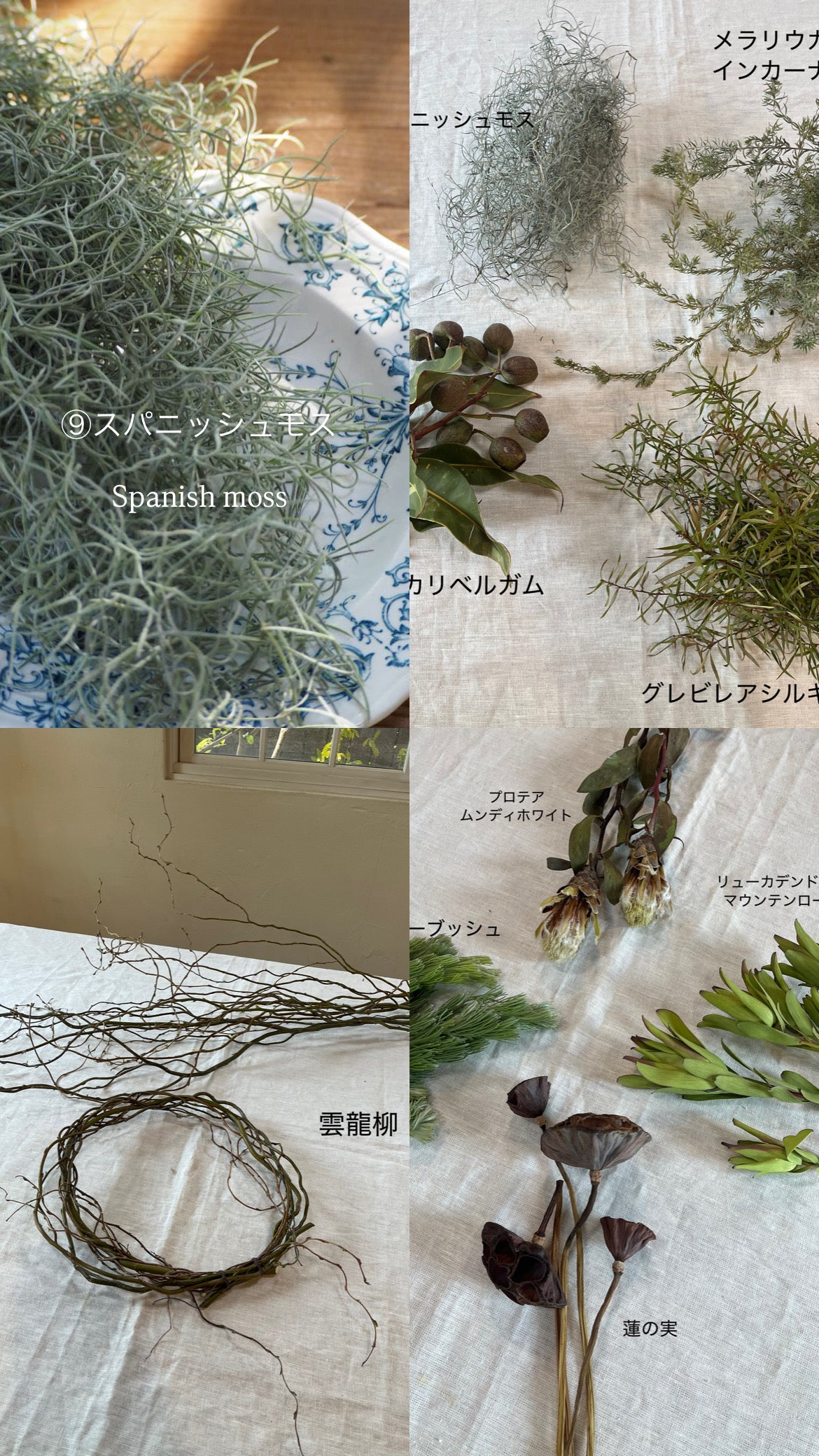 willow wreathe『花材セット』　4/23発送分