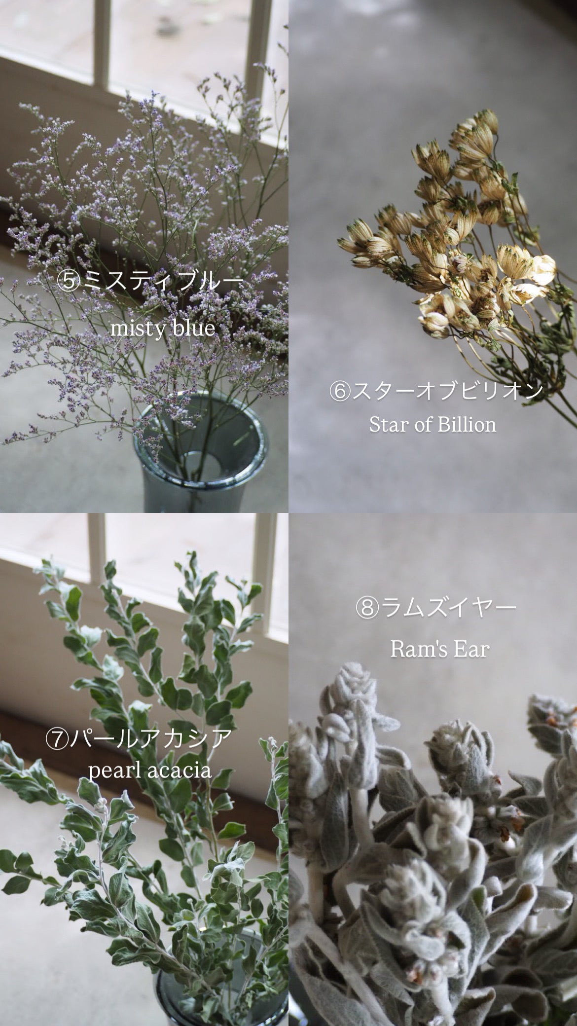 dry flower garland『花材セット』　
