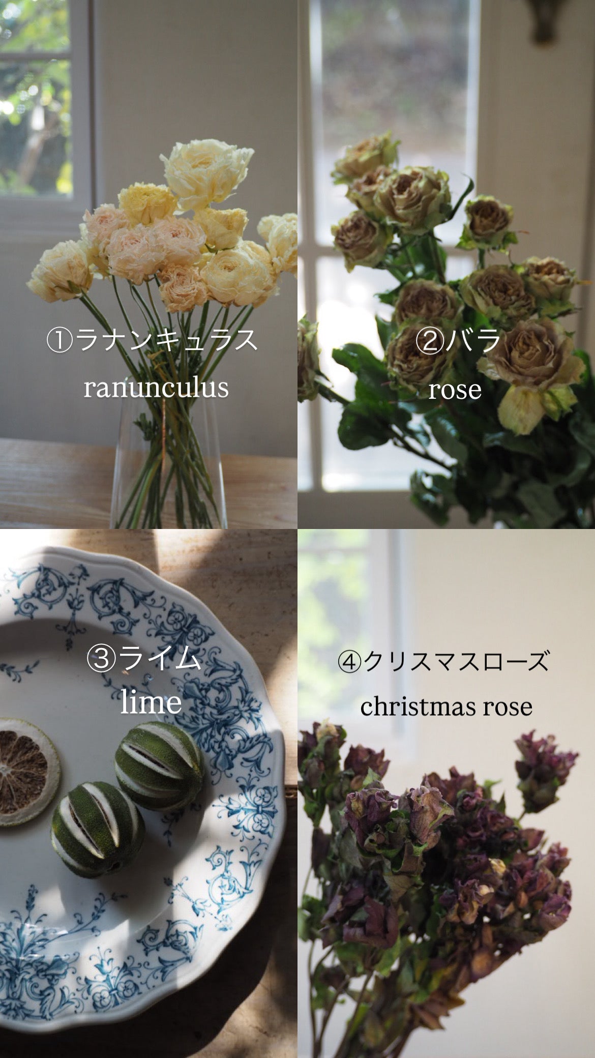 round arrangement『花材セット』　