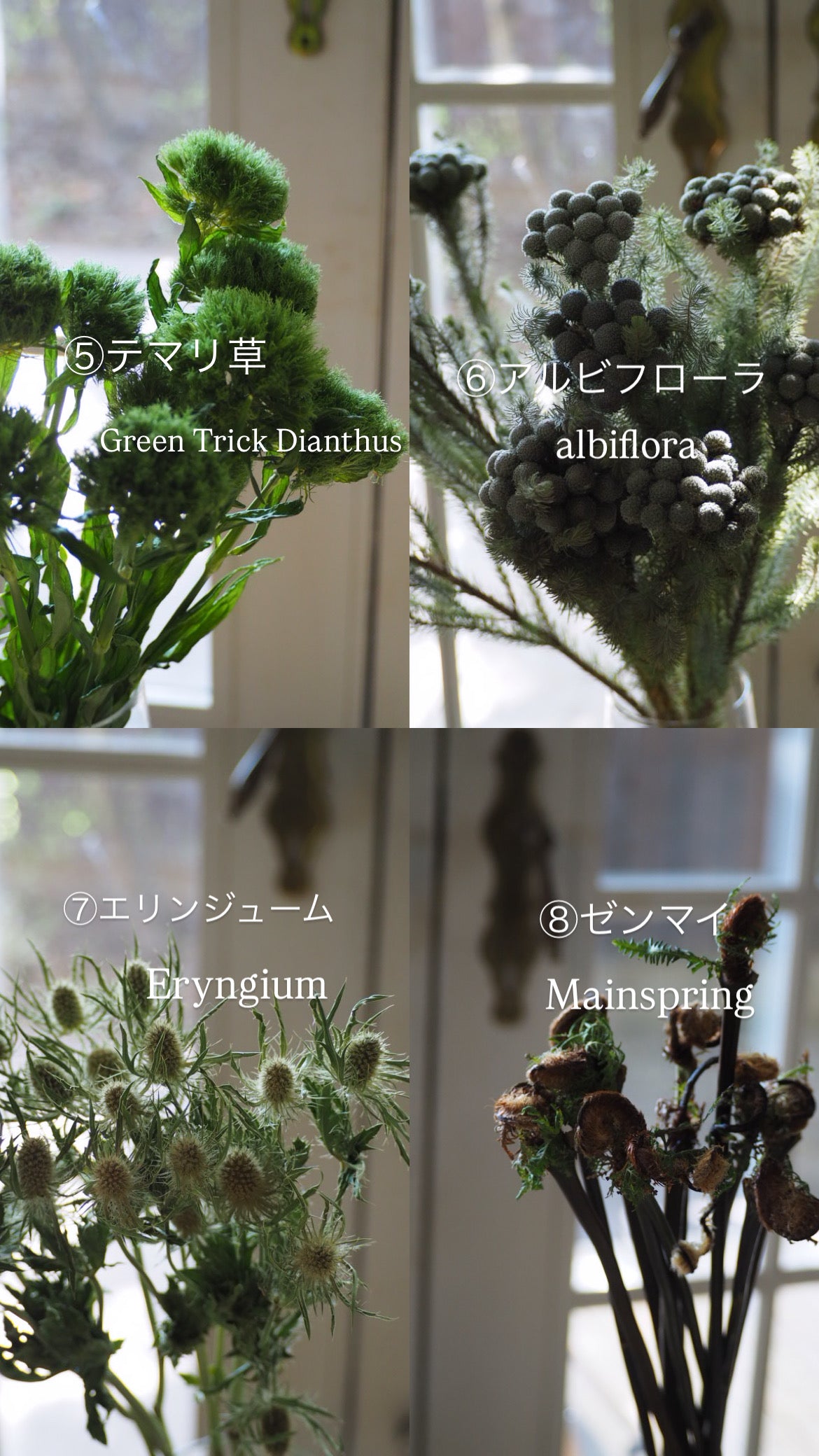 round arrangement『花材セット』　