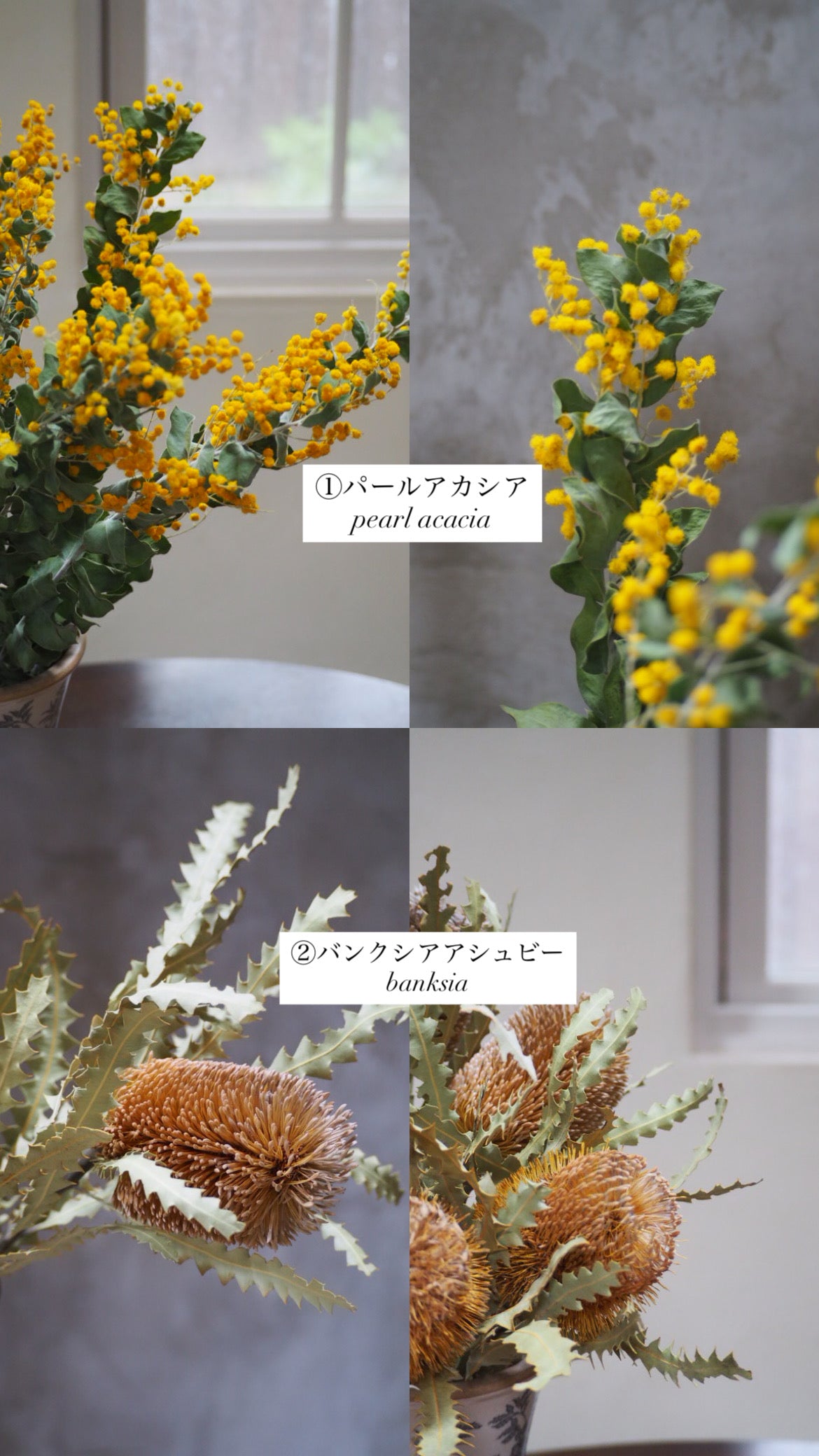 dry flower swag『花材セット』　再販