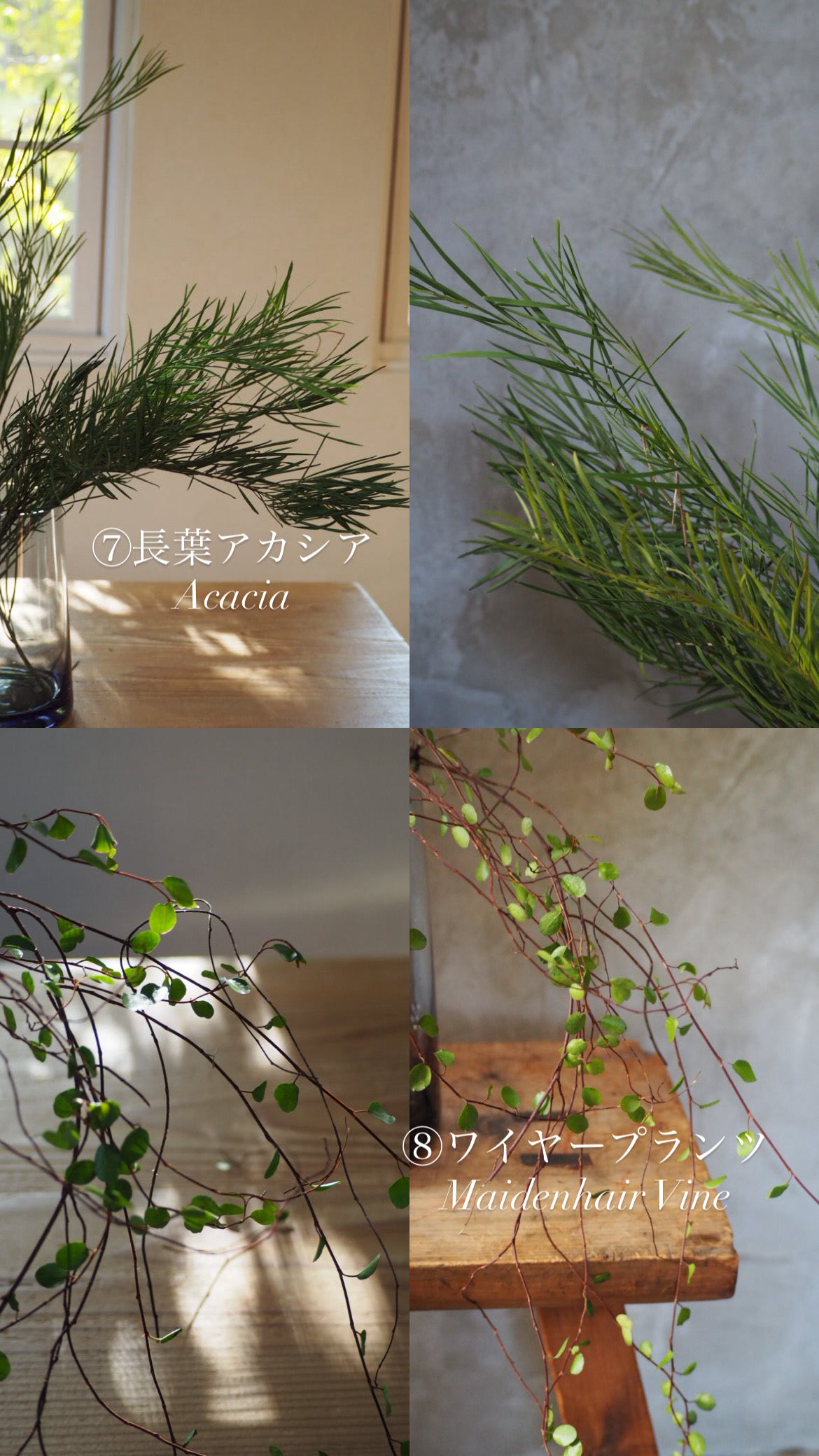 hanging arrangement　『花材セット』　　再販