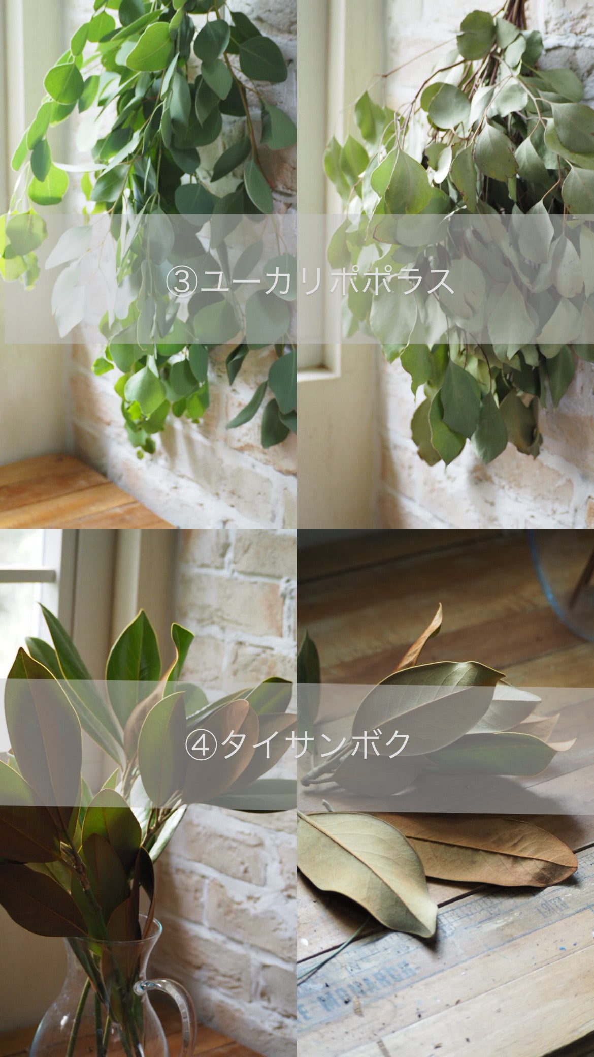 flying wreathe『花材セット』　