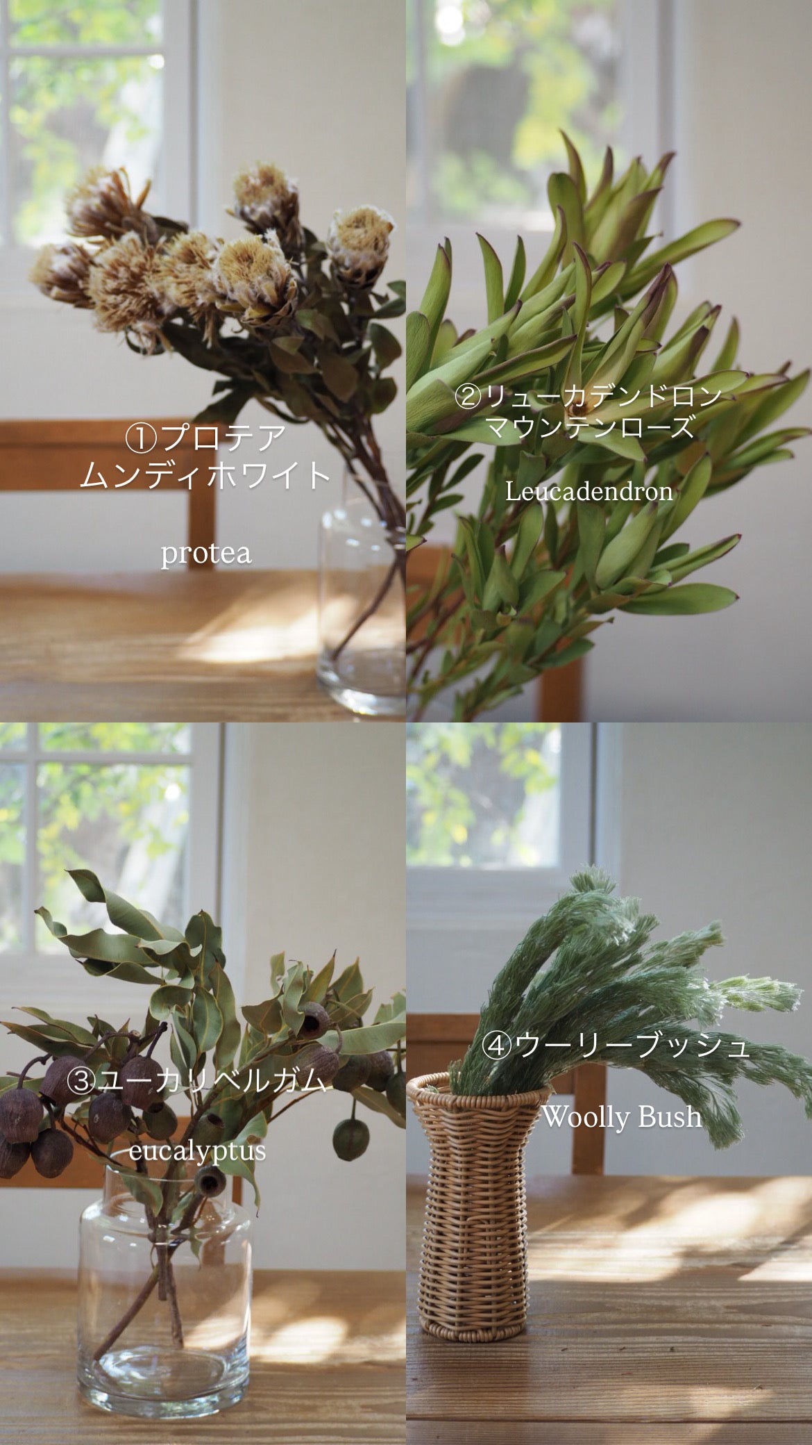 willow wreathe『花材セット』　4/23発送分