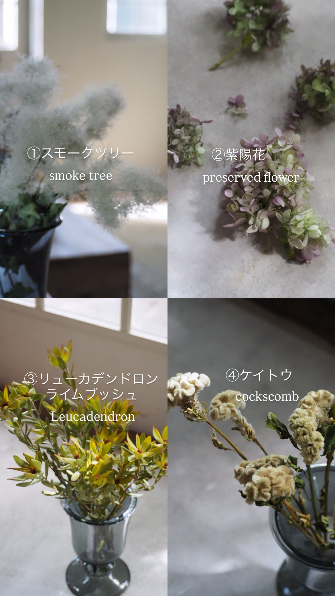 yuzuhanana｜ドライフラワー専門店｜心を彩る花のある暮らし