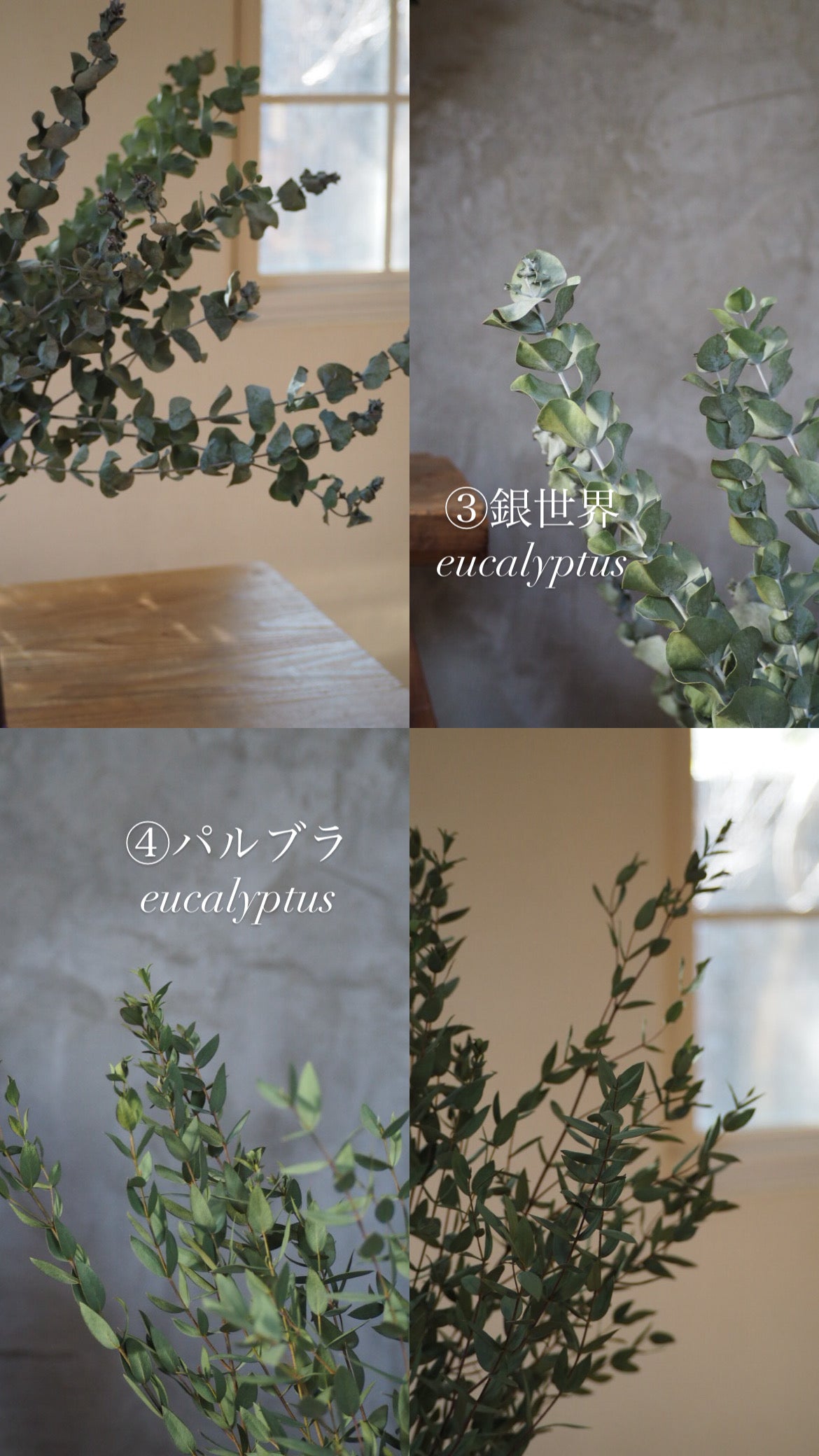 hanging arrangement　『花材セット』　　再販
