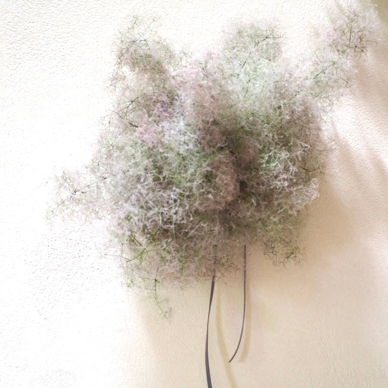 スモークツリーobjet ｜ ホワイト